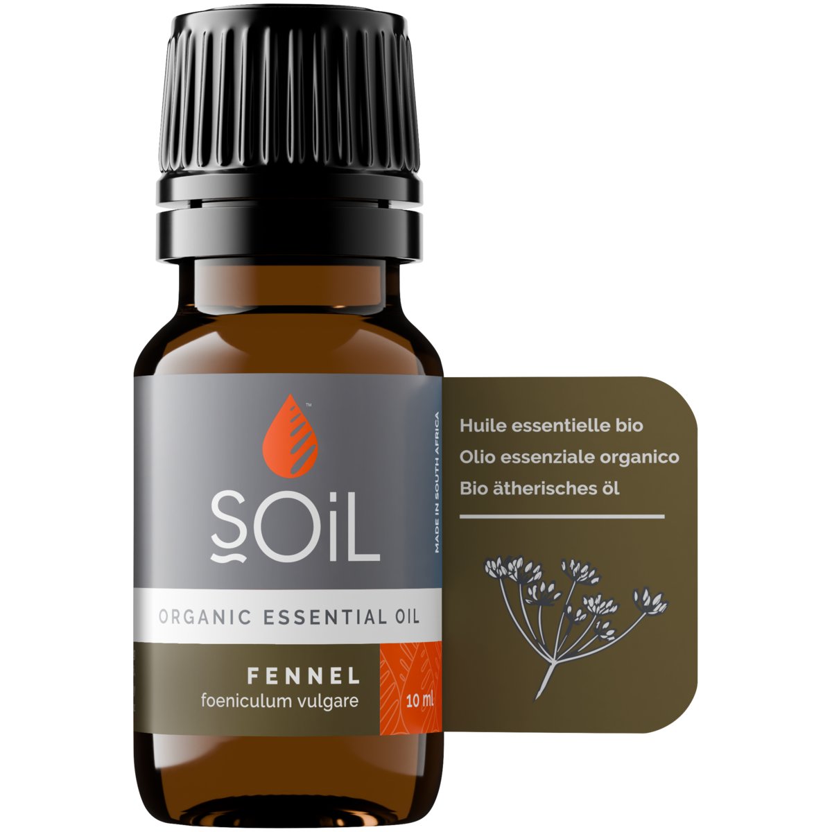 Organic Fennel Essential Oil (Foeniculum Vulgarus) 20ml