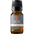 Organic Fennel Essential Oil (Foeniculum Vulgarus) 10ml