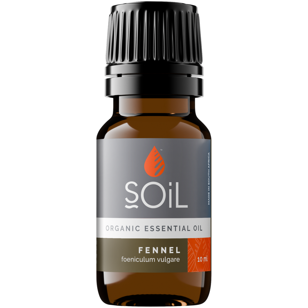 Organic Fennel Essential Oil (Foeniculum Vulgarus) 20ml