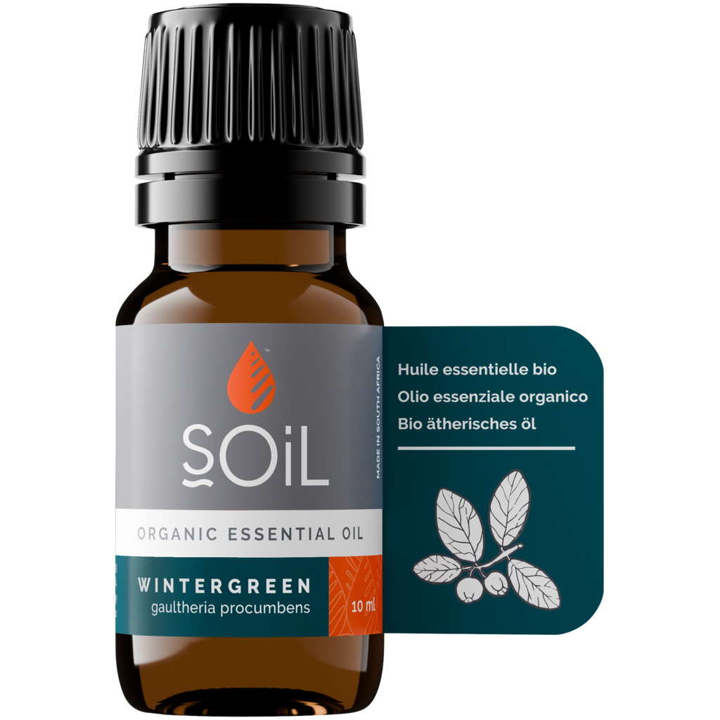 Organic Wintergreen Essential Oil (Gaulteria Procumbens) 20ml