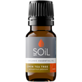 Organic Lemon Tea Tree Essential Oil (Leptospermum Petersonii) 20ml