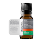 Focus - Organic Essential Oil Blend 20ml