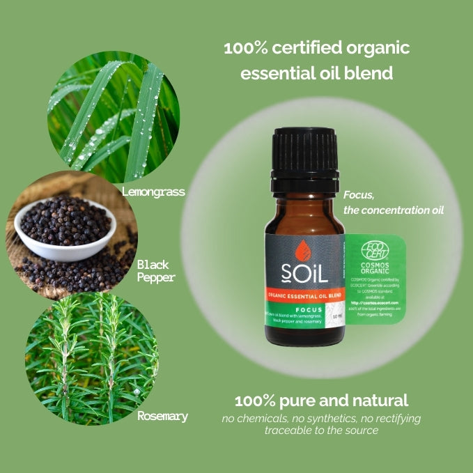 Focus - Organic Essential Oil Blend 20ml
