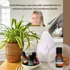 Organic Tea Tree Essential Oil (Melaleuca Alternifolia) 20ml