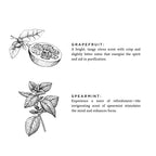 Grapefruit + Spearmint - Signature Candle