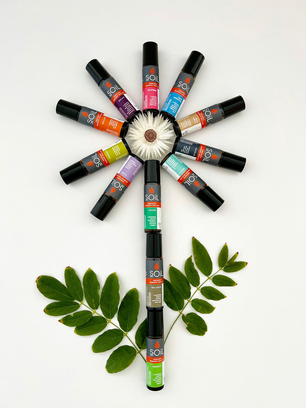 Focus - Organic Remedy Roller 10ml
